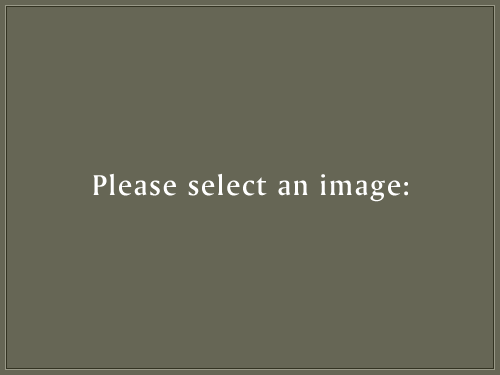 Please select an image: